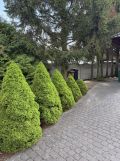 dom wolnostojący, 3 pokoje Chojnice Centrum, ul. Zaułek. Zdjęcie 2
