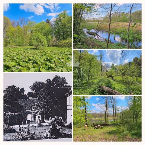 Działka Żerzyno. Zdjęcie 14