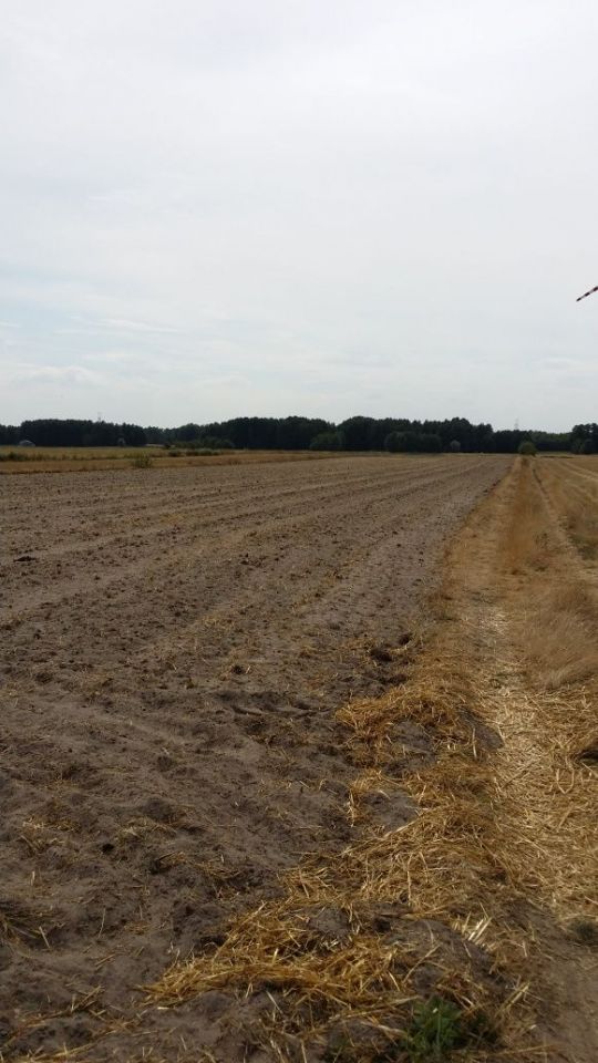 Działka rolno-budowlana Stare Budy. Zdjęcie 3