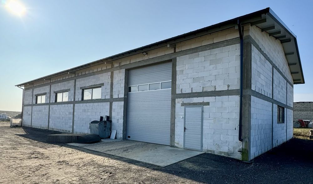 Hala/magazyn Zielona. Zdjęcie 4