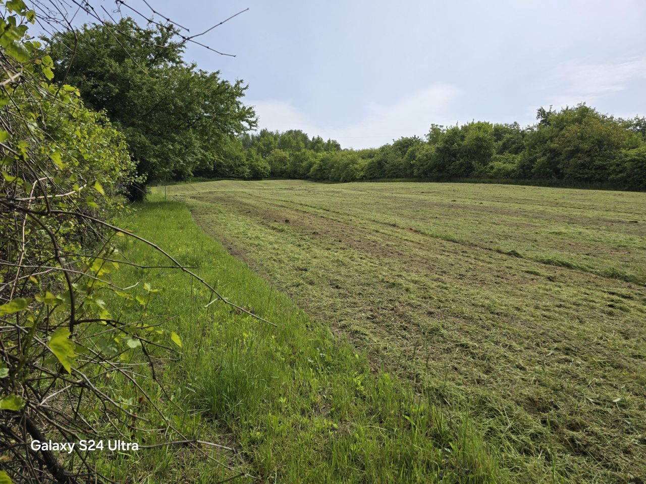 Działka rolno-budowlana Nowy Kamień. Zdjęcie 20