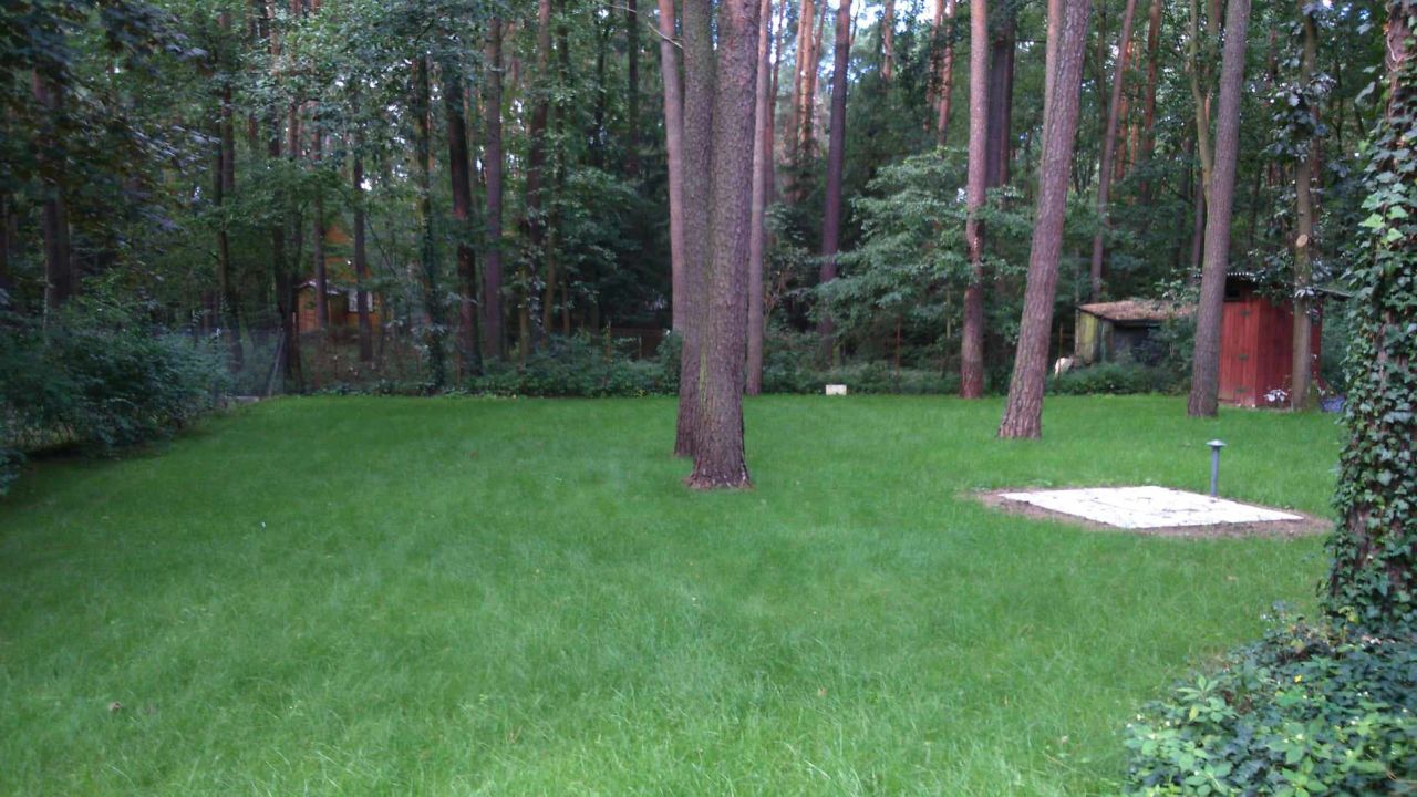 Działka budowlana Sokolniki-Las, ul. Adama Mickiewicza. Zdjęcie 2