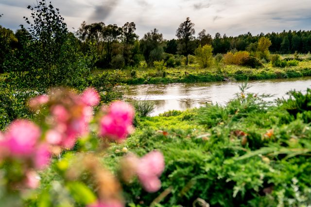 Hotel/pensjonat Głody. Zdjęcie 20