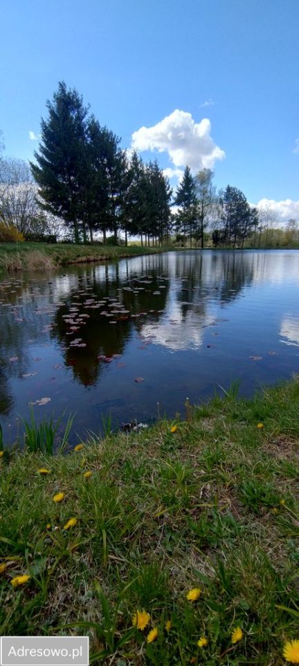 dom wolnostojący, 4 pokoje Łaszewo. Zdjęcie 2