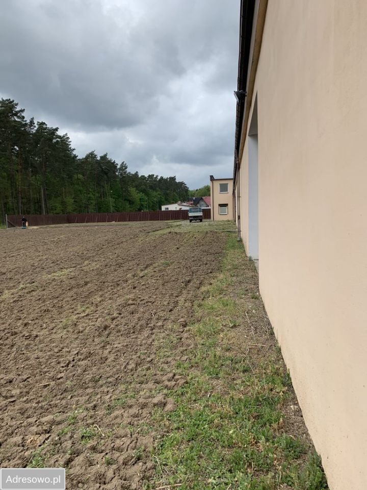 Hala/magazyn Susz, ul. Leśna. Zdjęcie 5