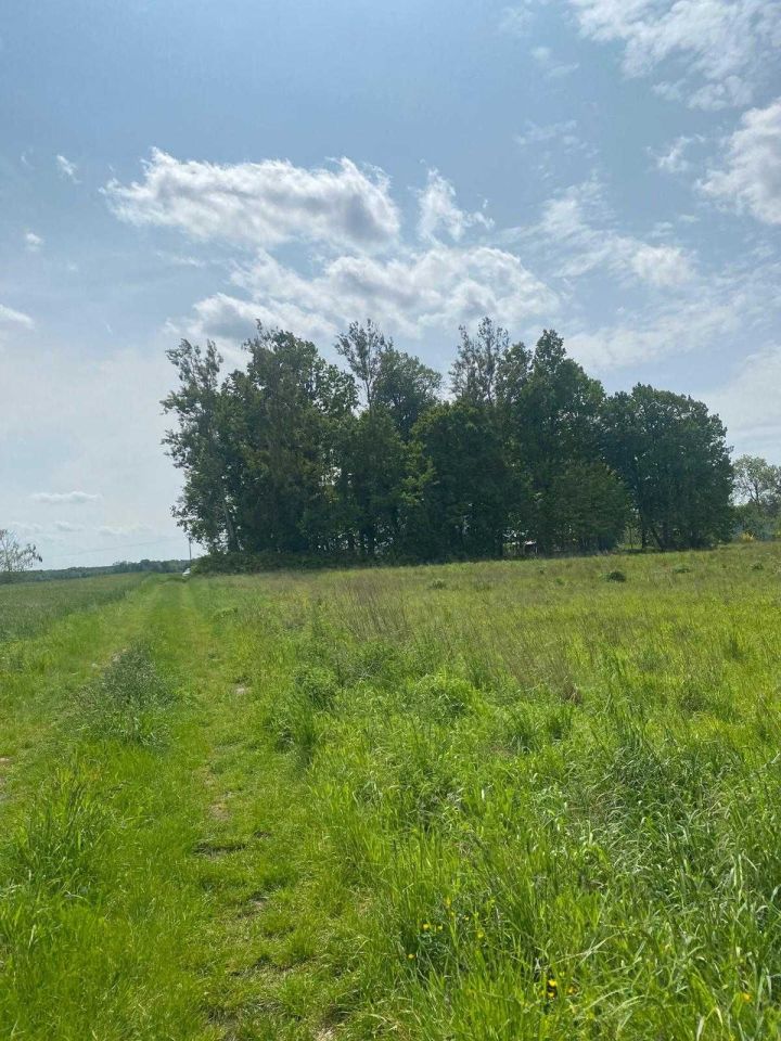 Działka budowlana Krępsk. Zdjęcie 2