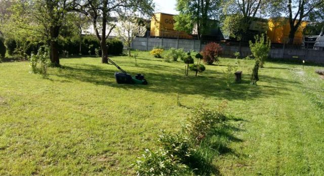 Działka rod Wawrów. Zdjęcie 1