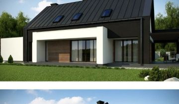 Działka rolno-budowlana Dalachów