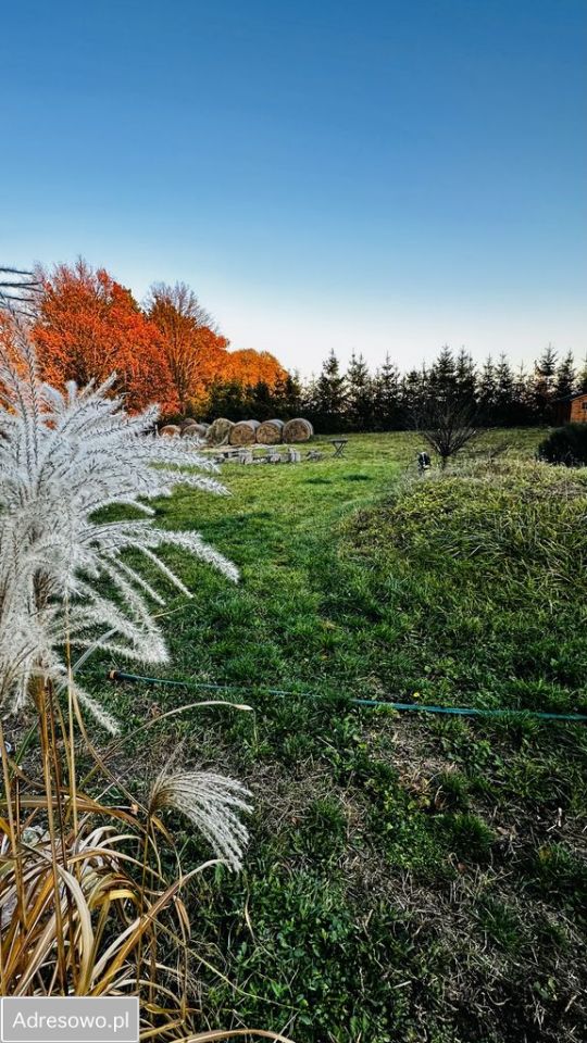 dom, 3 pokoje Przyborów. Zdjęcie 8