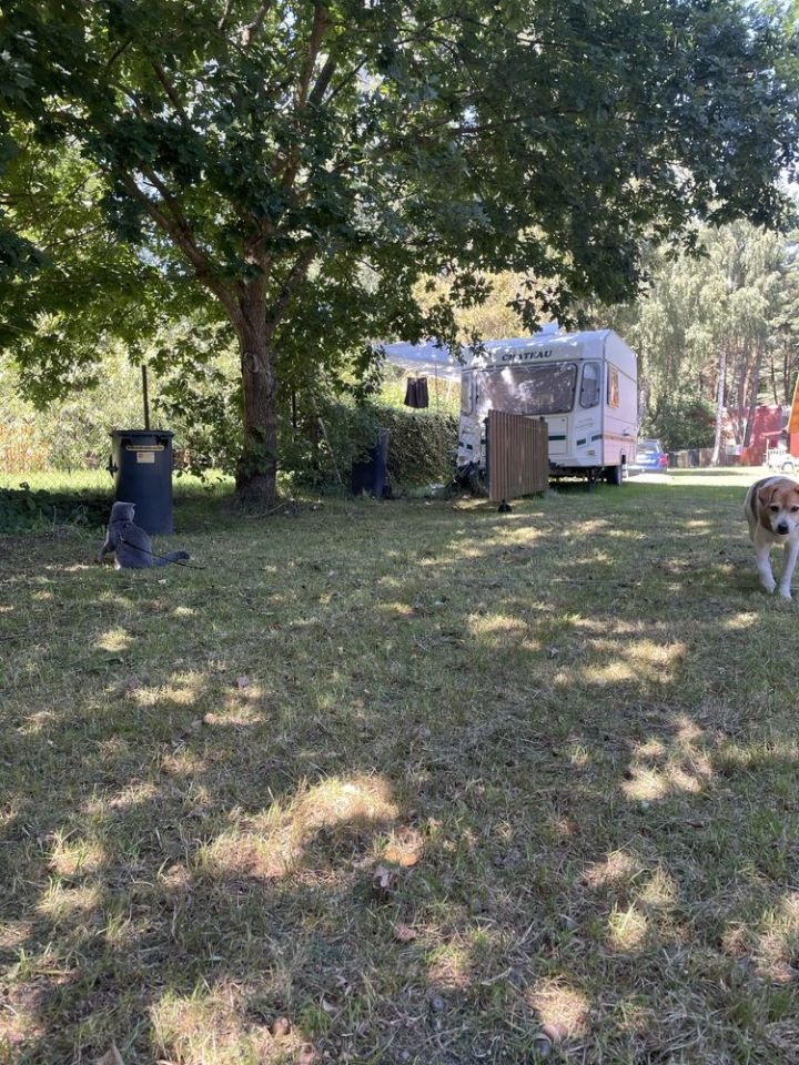 Działka budowlana Dębki. Zdjęcie 5