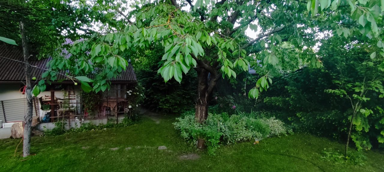 Działka rod Poznań Umultowo, ul. Miętowa. Zdjęcie 7