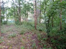 dom wolnostojący Brzeźce, ul. Główna. Zdjęcie 1