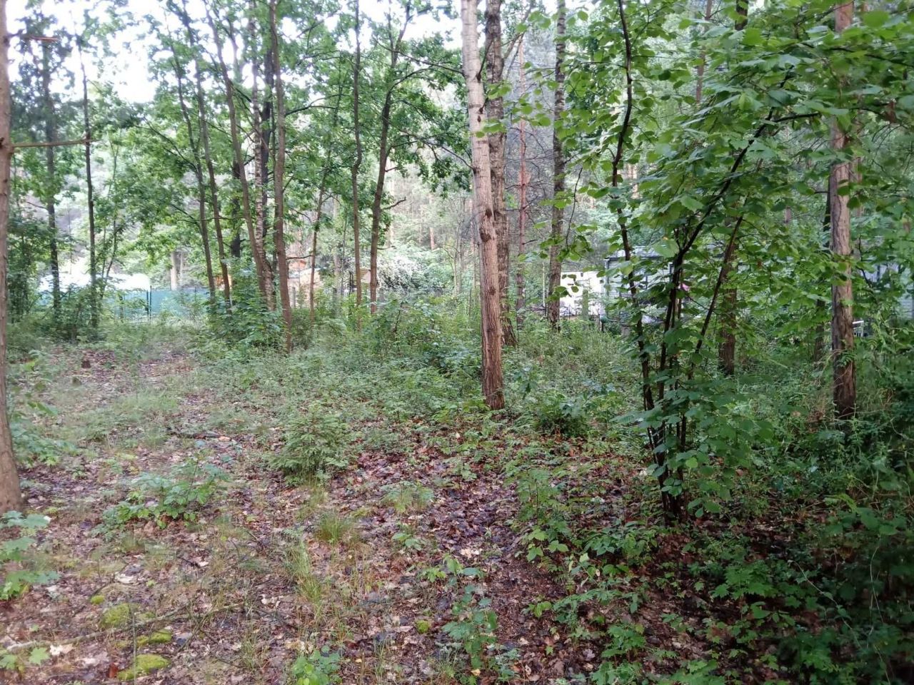 dom wolnostojący Brzeźce, ul. Główna. Zdjęcie 2