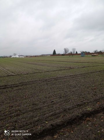 Działka budowlana Rawicz Sarnowa. Zdjęcie 1