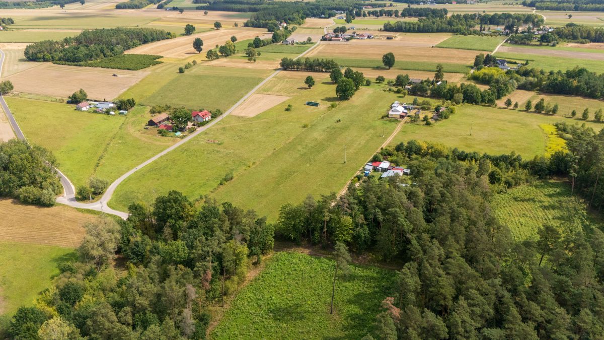 Działka budowlana Psucin, ul. Leśna. Zdjęcie 10