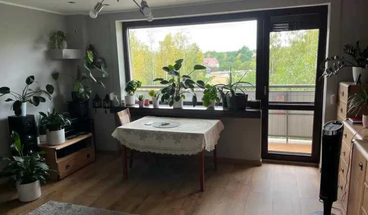 Mieszkanie 2-pokojowe Kędzierzyn-Koźle Kędzierzyn, ul. Wojciecha Korfantego