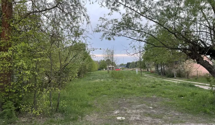 Działka budowlana Krzewina