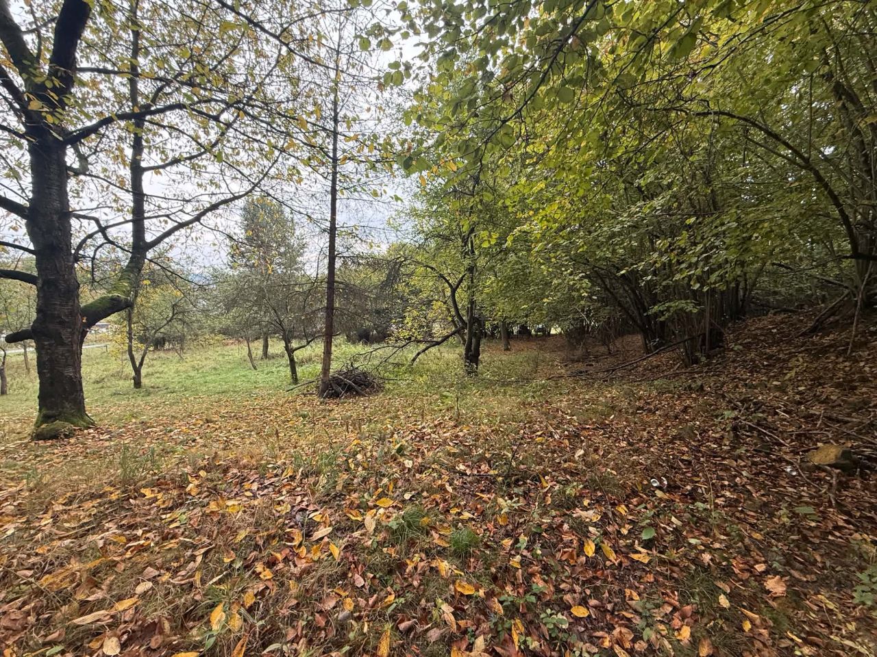 Działka rolna Chrzanów Kąty, ul. Bracka. Zdjęcie 14