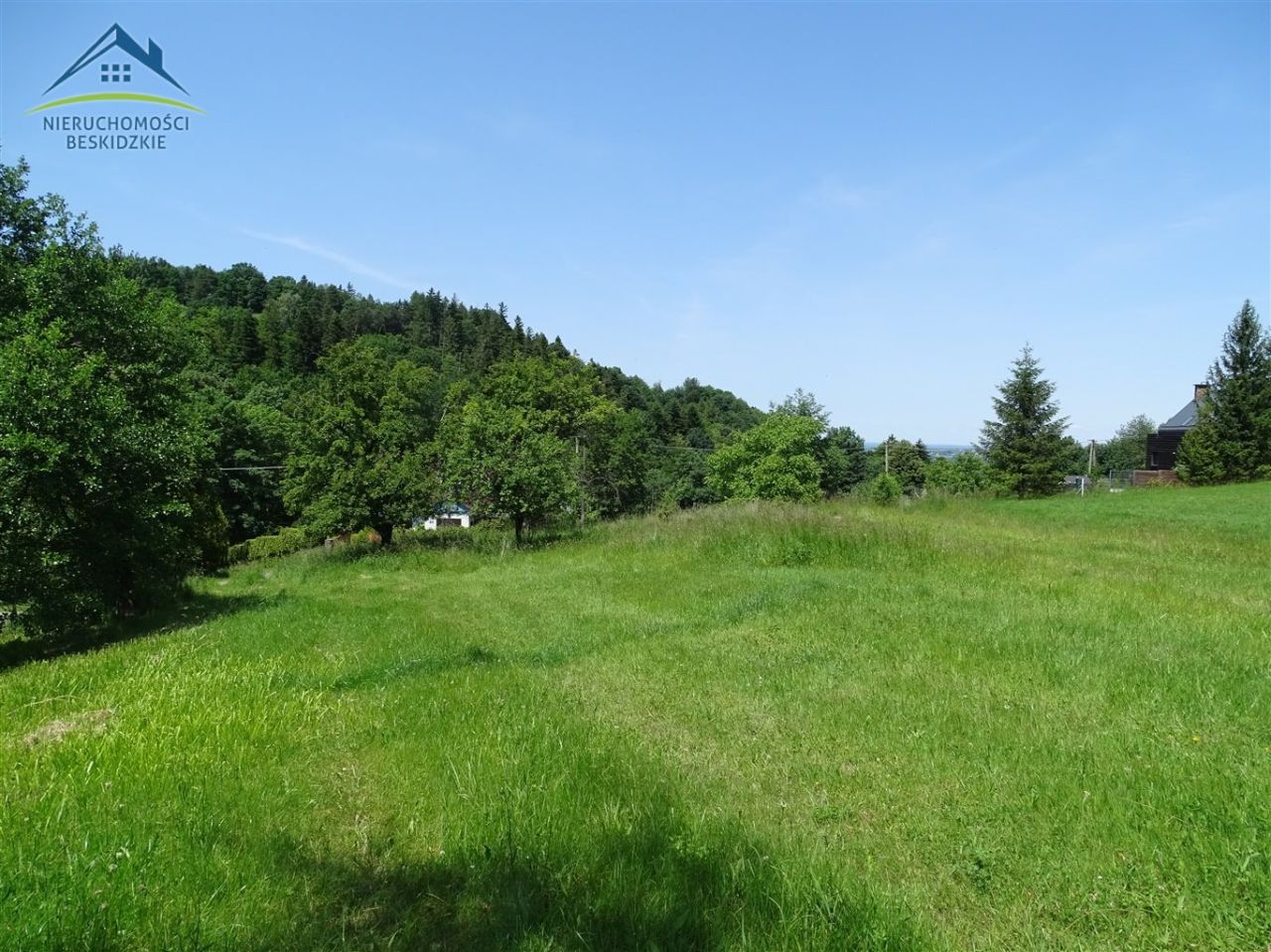 Działka rolno-budowlana Cisownica. Zdjęcie 7