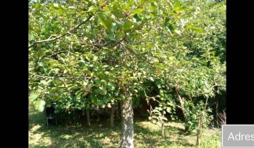 Działka rod Wrocław Tarnogaj, ul. Bardzka