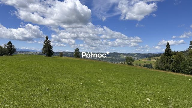 Działka rolna Rzepiska. Zdjęcie 4