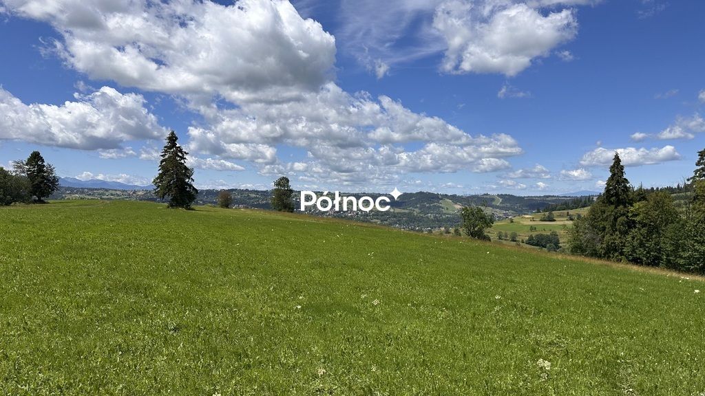 Działka rolna Rzepiska. Zdjęcie 4