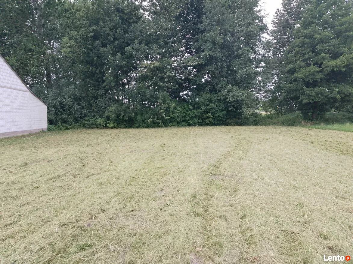 Działka rolno-budowlana Łuniewo Małe. Zdjęcie 2