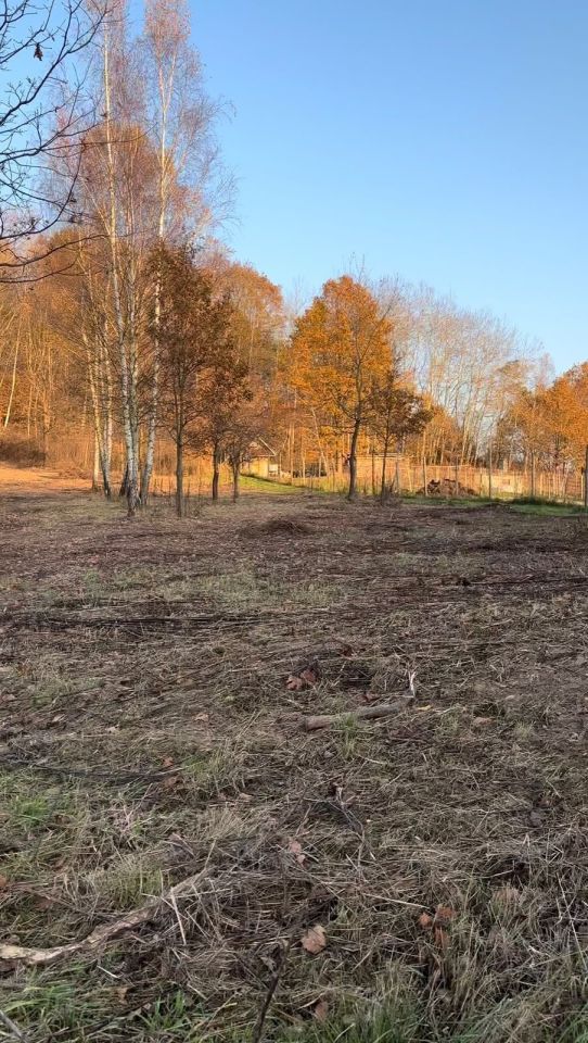 Działka budowlana Nawsie Kołaczyckie. Zdjęcie 2