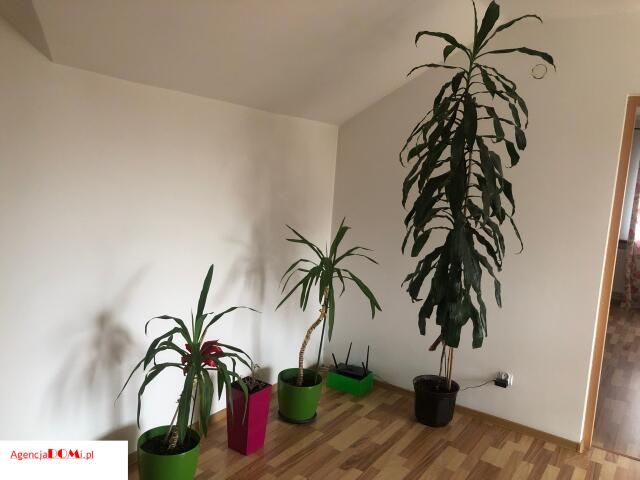 dom wolnostojący, 5 pokoi Błonie. Zdjęcie 9