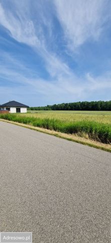 Działka budowlana Rębków, ul. Spacerowa. Zdjęcie 1