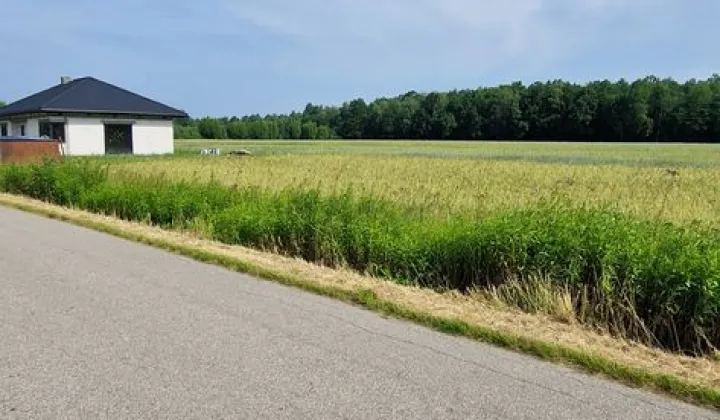 Działka budowlana Rębków, ul. Spacerowa