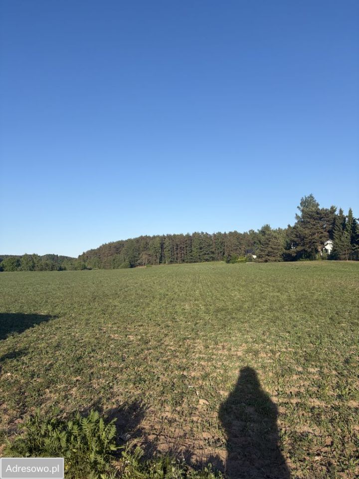 Działka budowlana Bojano, ul. Wrzosowa. Zdjęcie 6