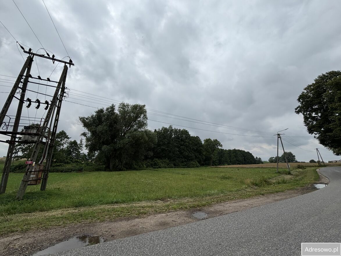 Działka siedliskowa Trzebuń. Zdjęcie 7