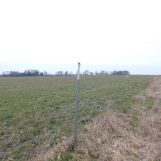 Działka budowlana Stary Dwór. Zdjęcie 4