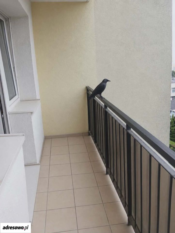 Zdjęcie 6