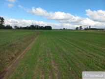 Działka budowlana Ignacew Folwarczny. Zdjęcie 4