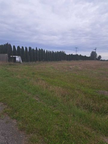 Działka budowlana Stare Koluszki. Zdjęcie 1