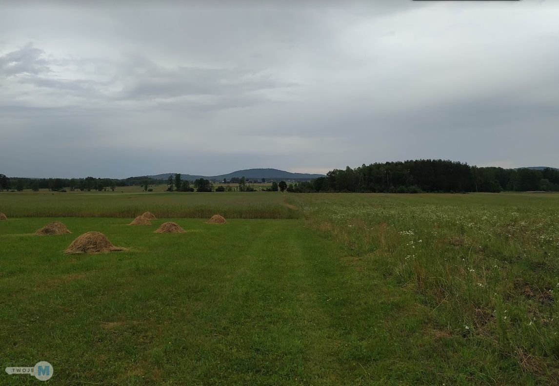 Działka leśna Strawczyn. Zdjęcie 9