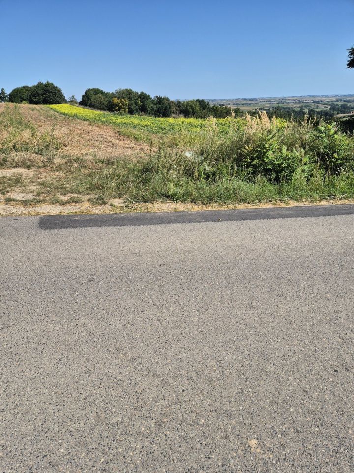 Działka rolna Koniusza. Zdjęcie 2