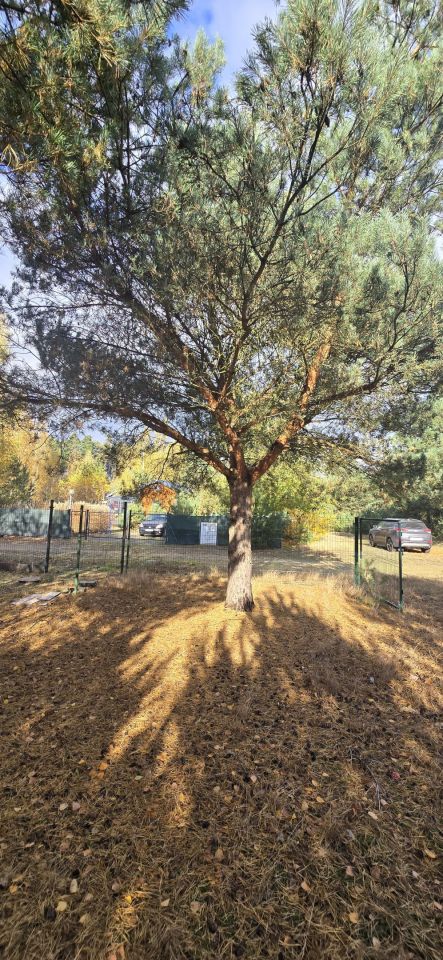 Działka budowlana Skrzynka. Zdjęcie 5