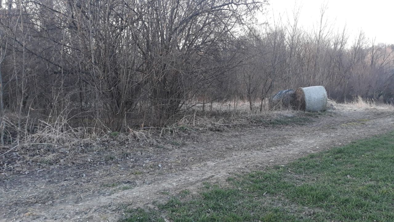 Działka rolno-budowlana Dobroszów. Zdjęcie 5