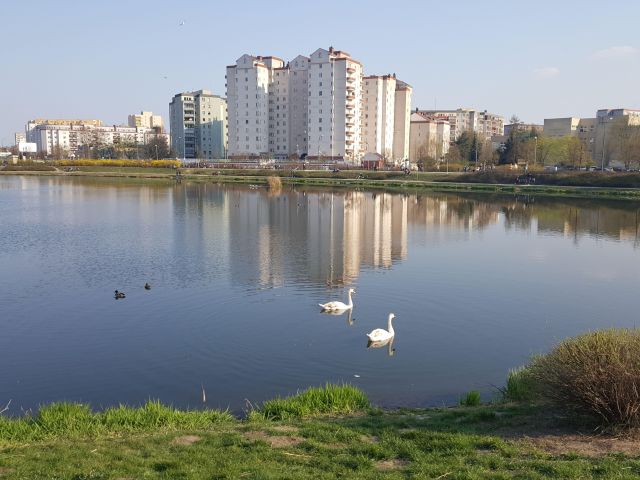 Mieszkanie 2-pokojowe Warszawa Praga-Południe, ul. Janusza Meissnera. Zdjęcie 7