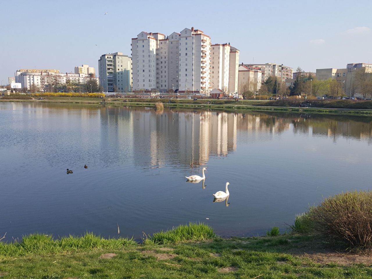 Mieszkanie 2-pokojowe Warszawa Praga-Południe, ul. Janusza Meissnera. Zdjęcie 7