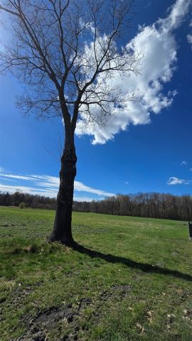 Działka budowlana Lędziny, ul. Zamoście. Zdjęcie 5