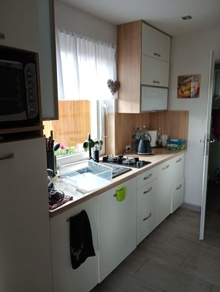 Działka rod Szczecin Dąbie, ul. Henryka Jordana. Zdjęcie 4
