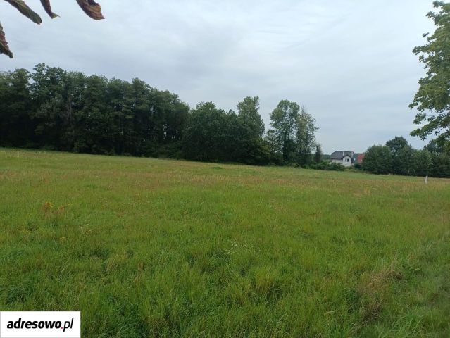 Działka budowlana Obłotne, ul. Kobaltowa. Zdjęcie 1