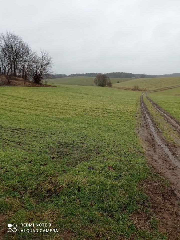 Działka rolno-budowlana Grabowo. Zdjęcie 4