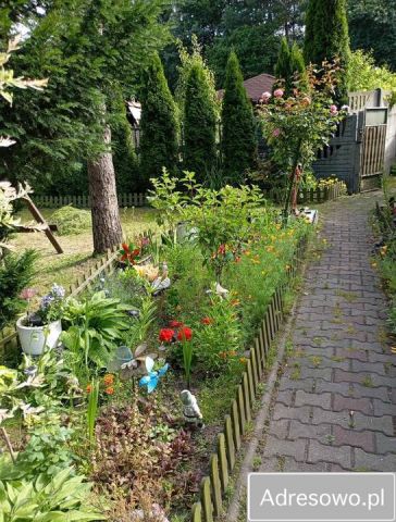 Działka rod Katowice Szopienice. Zdjęcie 1