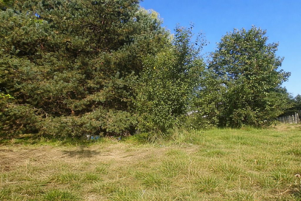 Działka budowlana Opalino, Lipowa. Zdjęcie 6