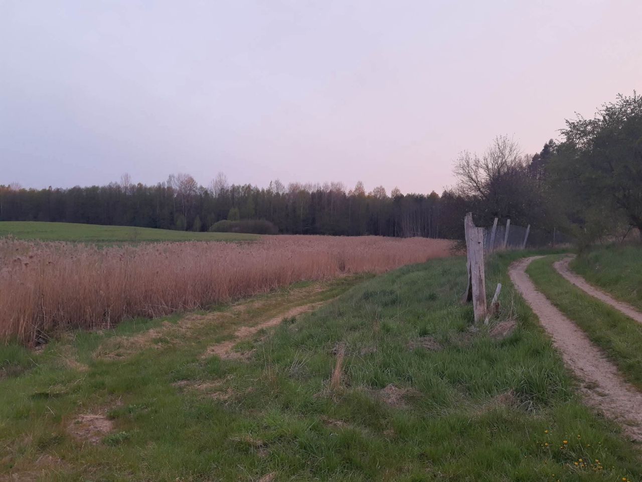 Działka budowlana Łukta, Łukta. Zdjęcie 10